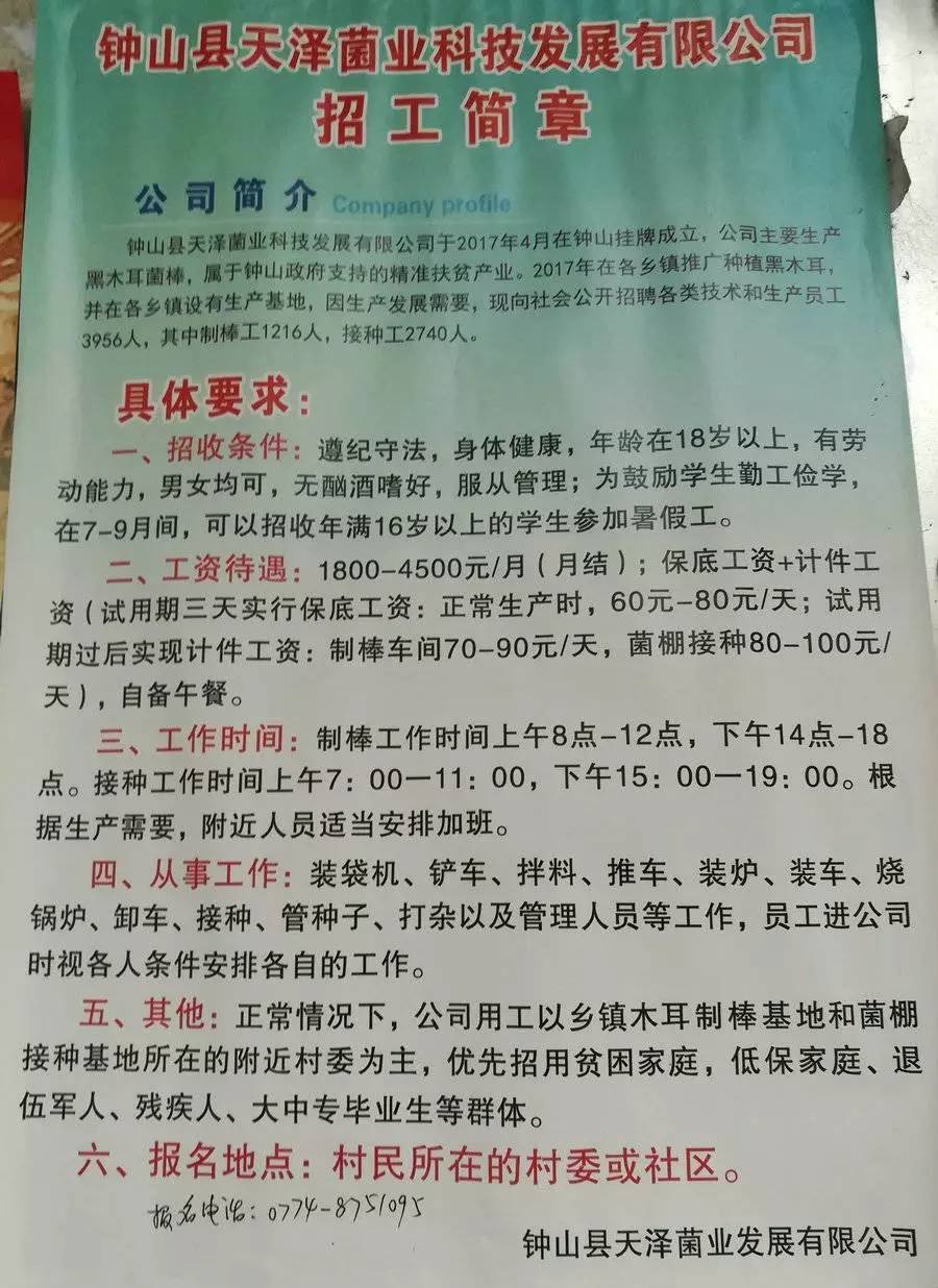 仙踪镇最新招聘信息全面解析