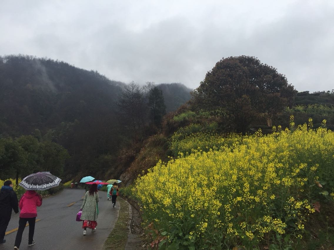 熊山镇天气预报更新通知