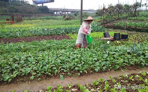 小水镇天气预报更新通知